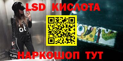 стаф Кингисепп