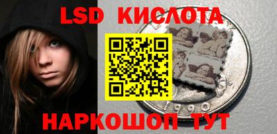 стаф Кингисепп