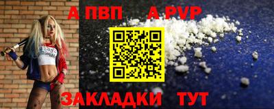 стаф Кингисепп