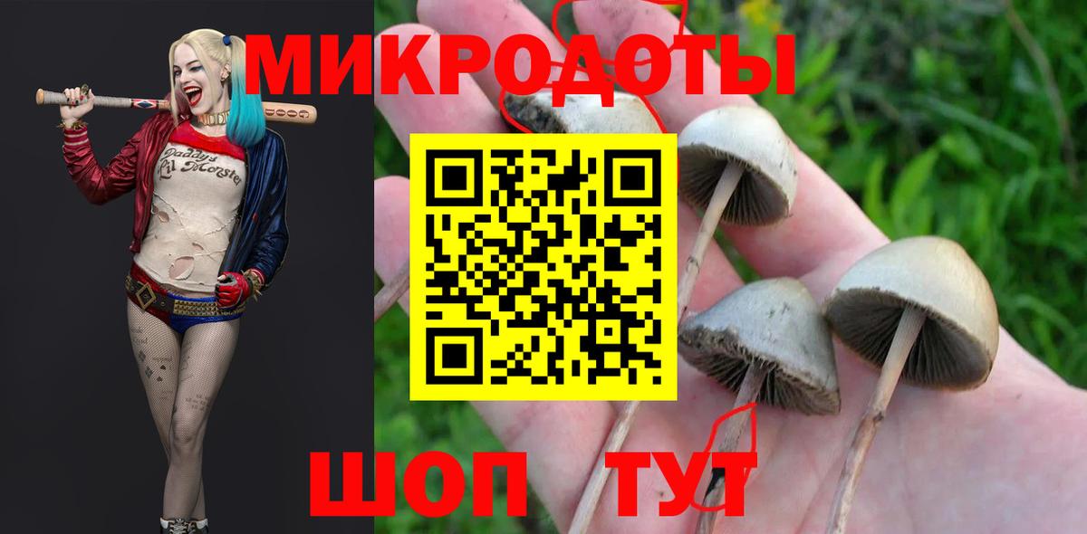 Ярцево  Галлюциногенные грибы мухоморы  Вход с VPN  Галлюциногенные грибы Psilocybine cubensis 