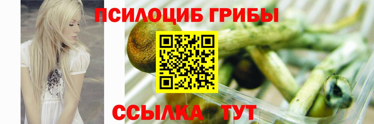Псилоцибиновые грибы мицелий Ярцево